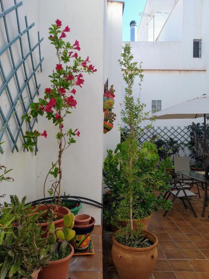 Illar Casa Rural Con Chimenea, Barbacoa, Terraza Y Solariumヴィラ エクステリア 写真